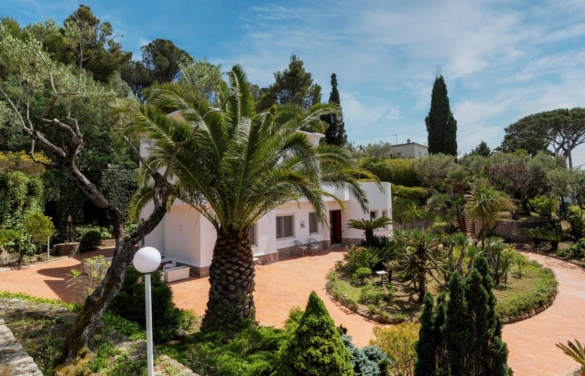 Bed & Breakfast Donna Carolina Capri Anacapri (Isola di Capri)